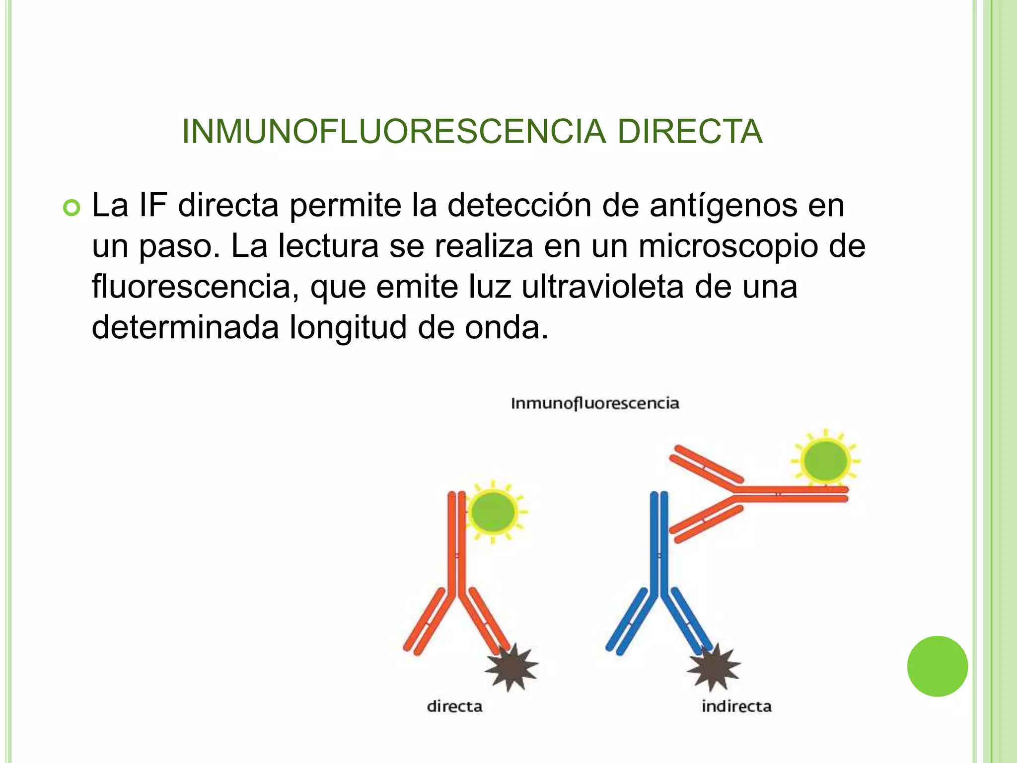 Inmunofluorescencia | PPTX