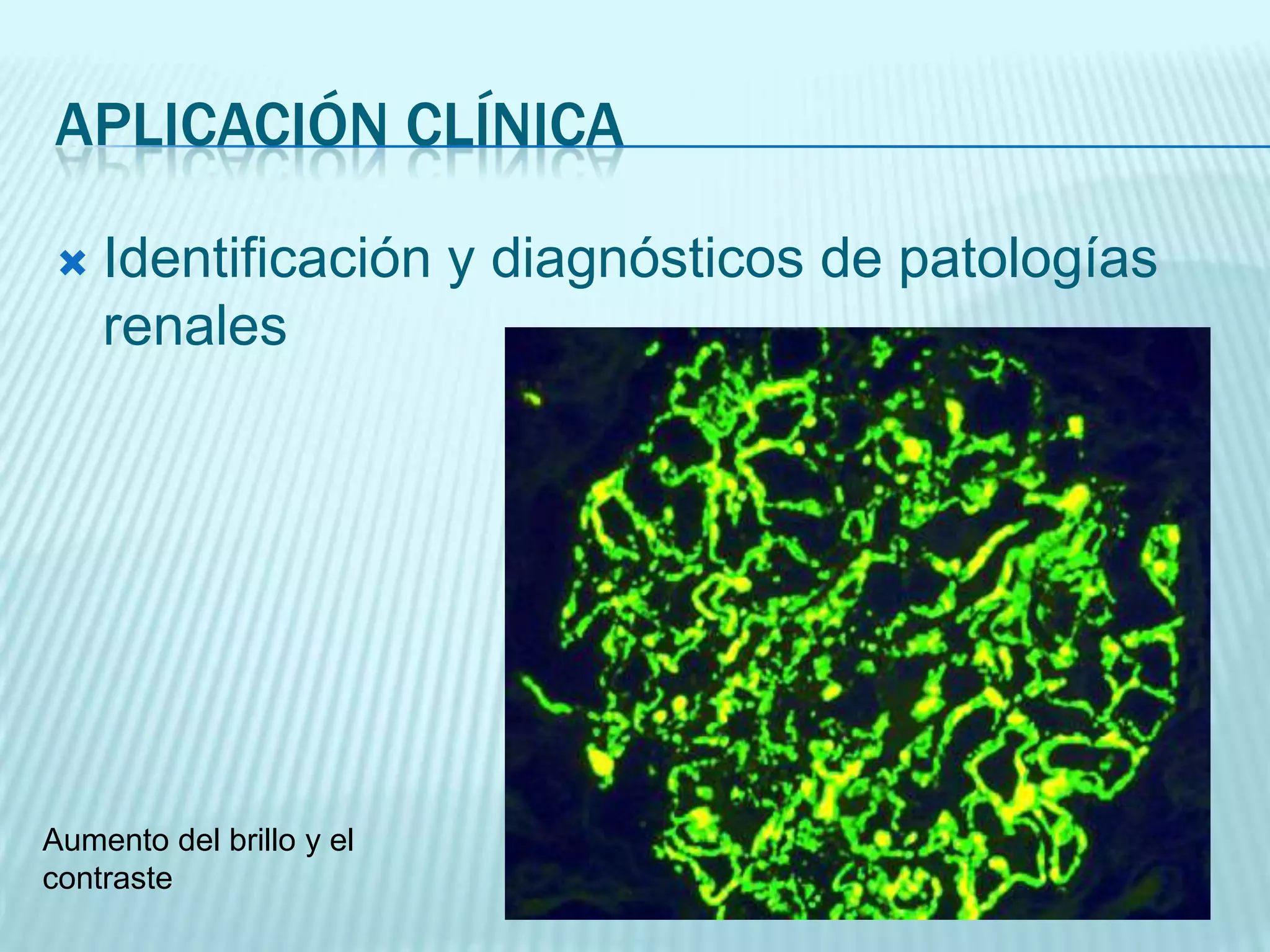 Inmunofluorescencia | PPTX