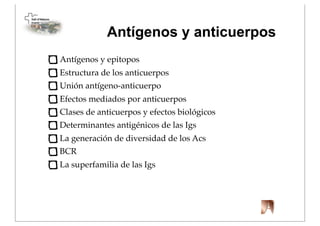 ! Antígenos y anticuerpos
Antígenos y epitopos
Estructura de los anticuerpos
Unión antígeno-anticuerpo
Efectos mediados por anticuerpos
Clases de anticuerpos y efectos biológicos
Determinantes antigénicos de las Igs
La generación de diversidad de los Acs
BCR
La superfamilia de las Igs
 