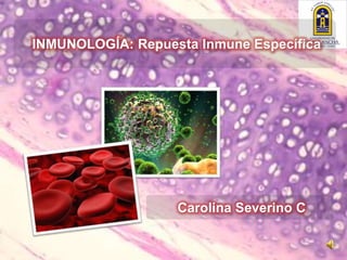 INMUNOLOGÍA: Repuesta Inmune Específica




                   Carolina Severino C
 