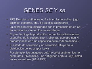 GENES SE Y se
75% Excretan antígenos A, B y H en leche, saliva, jugo
gástrico, esperma, etc.. Se les dice Secretores
La secreción está relacionada con la presencia de un Se,
en secretores y se, en los no secretores
El gen Se dirige la producción de una fucosiltransferasa
específica de la cadena tipo 1. Mientras que otro gen H
proporciona la enzima específica de la cadena de tipo 2
El estado de secreción y no secreción influye en la
distribución de los grupos Lewis
Por ejemplo, los antígenos Le(a) o Le(c) están en los no
secretores (25 al 30%). Los antígenos Le(b) o Le(d) están
en los secretores (70 al 75%)

 