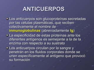 ANTICUERPOS
Los anticuerpos son glucoproteínas secretadas
por las células plasmáticas, que reciben
colectivamente el nombre de
inmunoglobulinas (abreviadamente Ig)
La especificidad de estas proteínas ante los
diferentes antígenos es semejante a la de la
enzima con respecto a su sustrato
Los anticuerpos circulan por la sangre y
penetran en los fluidos corporales donde se
unen específicamente al antígeno que provocó
su formación

 