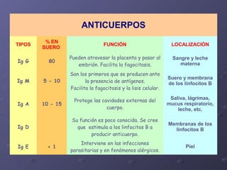 ANTICUERPOS
TIPOS

% EN
SUERO

FUNCIÓN

LOCALIZACIÓN

Ig G

80

Pueden atravesar la placenta y pasar al
embrión. Facilita la fagocitosis.

Sangre y leche
materna

5 - 10

Son los primeros que se producen ante
la presencia de antígenos.
Facilita la fagocitosis y la lisis celular.

Suero y membrana
de los linfocitos B

10 - 15

Protege las cavidades externas del
cuerpo.

Saliva, lágrimas,
mucus respiratorio,
leche, etc.

Su función es poco conocida. Se cree
que estimula a los linfocitos B a
producir anticuerpo.

Membranas de los
linfocitos B

Interviene en las infecciones
parasitarias y en fenómenos alérgicos.

Piel

Ig M

Ig A

Ig D

Ig E

< 1

 