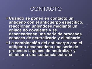CONTACTO
Cuando se ponen en contacto un
antígeno con el anticuerpo específico,
reaccionan uniéndose mediante un
enlace no covalente y se
desencadenan una serie de procesos
capaces de neutralizarlo y eliminarlo
La combinación del anticuerpo con el
antígeno desencadena una serie de
procesos capaces de neutralizar y
eliminar a una sustancia extraña

 
