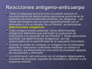 Reacciones antígeno-anticuerpo
Tanto la respuesta humoral como la celular suponen el
reconocimiento de determinadas estructuras químicas en la
superficie de macromoléculas extrañas, los antígenos. Las
zonas del antígeno que se unen específicamente con el
anticuerpo o con el receptor de un linfocito, se denominan
determinantes antigénicos
Cada antígeno puede presentar varios determinantes
antigénicos diferentes que estimulan la producción de
anticuerpos y la repuesta de los linfocitos T. Estas estructuras
químicas, los determinantes antigénicos, son los
responsables de la especificidad de la respuesta inmunitaria
Cuando se ponen en contacto un antígeno con el anticuerpo
específico, reaccionan uniéndose mediante un enlace no
covalente y se desencadenan una serie de procesos capaces
de neutralizarlo y eliminarlo
La combinación del anticuerpo con el antígeno desencadena
una serie de procesos capaces de neutralizar y eliminar a una
sustancia extraña

 