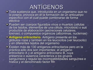 ANTÍGENOS

Toda sustancia que, introducida en un organismo que no
la poseía, provoca en él la formación de un anticuerpo
específico con el cual puede combinarse de forma
electiva
Pueden ser cuerpos figurados vivos o muertos (células
de los tejidos, elementos de una célula, microbios) o sus
productos de elaboración (secreciones celulares,
toxinas), o compuestos orgánicos (albúminas, nucleínas)
Antígeno eritrocitario. Antígeno presente en los
glóbulos rojos y también en los leucocitos (ver leucocito)
y en diferentes tejidos del organismo
Existen más de 130 antígenos eritrocitarios pero en la
práctica sólo dos son importantes: el antígeno
eritrocitario A y el antígeno eritrocitario B, cuya
presencia o ausencia caracteriza a los grupos
sanguíneos y regula las incompatibilidades sanguínea e
hística y el denominado factor Rh

 