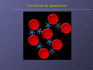 Test directo de aglutinación

 