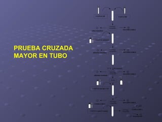 2 GOTAS SR

1 GOTA HD

centrifugar
resuspender

INCOMPATIBLE

salino inmediato

2 GOTAS albúmina

PRUEBA CRUZADA
MAYOR EN TUBO

centrifugar
resuspender

albúmina inmediata

37 ºC
albúmina incubada

INCOMPATIBLE

30 minutos

centrifugar
resuspender

INCOMPATIBLE

lavado

2 GOTAS anti IgG-C3d

COMPATIBLE

1 GOTA Control Coombs

centrifugar
resuspender

INCOMPATIBLE

centrifugar
resuspender

COMPATIBLE

inconcluyente

 
