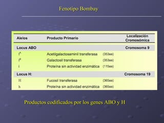 Fenotipo Bombay

Productos codificados por los genes ABO y H

 
