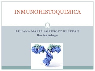 INMUNOHISTOQUIMICA

LILIANA MARIA AGRESOTT BELTRAN
Bacterióloga

 