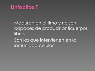 Maduran en el timo y no son capaces de producir anticuerpos libres. Son los que intervienen en la inmunidad celular 