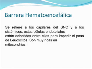 Se refiere a los capilares del SNC y a los sistémicos; estas células endoteliales  están adheridas entre ellas para impedir el paso de Leucocitos. Son muy ricas en  mitocondrias 