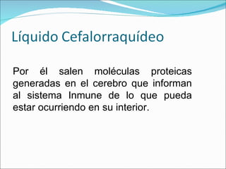 Por él salen moléculas proteicas generadas en el cerebro que informan al sistema Inmune de lo que pueda estar ocurriendo en su interior. 
