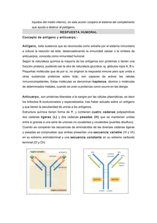 líquidos del medio interno), en esta acción coopera el sistema del complemento
       que ayuda a destruir al patógeno.
                              RESPUESTA HUMORAL
Concepto de antígeno y anticuerpo.-

Antígeno, toda sustancia que es reconocida como extraña por el sistema inmunitario
e induce la reacción de éste, desencadenando la inmunidad celular o la síntesis de
anticuerpos, conocida como inmunidad humoral.
Según la naturaleza química la mayoría de los antígenos son proteínas o tienen una
fracción proteica, pudiendo ser la otra de naturaleza glucídica, ej. glóbulos rojos A, B o
Pequeñas moléculas que de por sí, no originan la respuesta inmune pero que unida a
otras sustancias proteícas sobre todo, son capaces de activar las células
inmunocompetentes. Estas moléculas se denominan haptenos, átomos o moléculas
de determinados metales, cuando se unen a proteínas como ocurre en las alergia.


Anticuerpo, son proteínas liberadas a la sangre por las células plasmáticas, es decir
los linfocitos B evolucionados y especializados, tras haber actuado sobre un antígeno
y que tienen la peculiaridad de unirse a los antígenos.
Estructura química tienen forma de Y, y contienen cuatro cadenas polipeptídicas
dos cadenas ligeras (L) y dos cadenas pesadas (H) que se mantienen unidas
entre sí gracias a una serie de uniones no covalentes y covalentes (puentes disulfuro).
Cuando se comparan las secuencias de aminoácidos de las diversas cadenas ligeras
y pesadas se comprueban que ambas presentan una secuencia variable (Vl y Vh)
en su extremo aminoterminal y una secuencia constante en su extremo carboxilo
terminal (Cl y Ch)
 