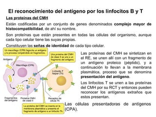 La inflamación
InfecciónInfección
Liberación de mediadoresLiberación de mediadores
VasodilataciónVasodilatación Incremento...