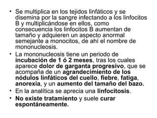 • Se multiplica en los tejidos linfáticos y se
disemina por la sangre infectando a los linfocitos
B y multiplicándose en ellos, como
consecuencia los linfocitos B aumentan de
tamaño y adquieren un aspecto anormal
semejante a monocitos, de ahí el nombre de
mononucleosis.
• La mononucleosis tiene un periodo de
incubación de 1 ó 2 meses, tras los cuales
aparece dolor de garganta progresivo, que se
acompaña de un agrandecimiento de los
nódulos linfáticos del cuello, fiebre, fatiga,
anorexia, y un aumento del tamaño del bazo.
• En la analítica se aprecia una linfocitosis.
• No existe tratamiento y suele curar
espontáneamente.
 