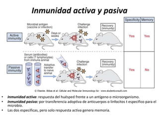 Inmunidad activa y pasiva




•   Inmunidad activa: respuesta del huésped frente a un antígeno o microorganismo.
•   Inmunidad pasiva: por transferencia adoptiva de anticuerpos o linfocitos t especifico para el
    microbio.
•   Las dos especificas, pero solo respuesta activa genera memoria.
 
