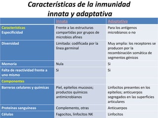 Características de la inmunidad
                        innata y adaptativa
                                Innata                        Adaptativa
Características                 Frente a las estructuras      Para los antígenos
Especificidad                   compartidas por grupos de     microbianos o no
                                microbios afines
Diversidad                      Limitada: codificada por la   Muy amplia: los receptores se
                                línea germinal                producen por la
                                                              recombinación somática de
                                                              segmentos génicos
Memoria                         Nula                          Si
Falta de reactividad frente a   Si                            Si
uno mismo
Componentes
Barreras celulares y químicas   Piel, epitelios mucosos;      Linfocitos presentes en los
                                productos químicos            epitelios; anticuerpos
                                antimicrobianos               segregados en las superficies
                                                              articulares
Proteínas sanguíneas            Complemento, otras            Anticuerpos
Células                         Fagocitos, linfocitos NK      Linfocitos
 