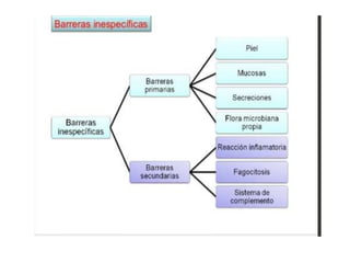 Inmunología 1