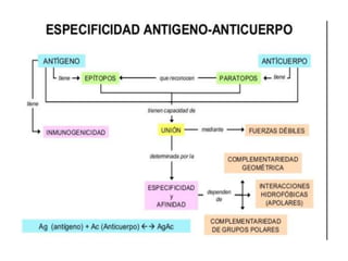 Inmunología 1