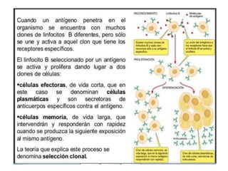 Inmunología 1