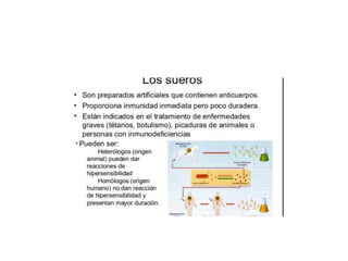 Inmunología 1