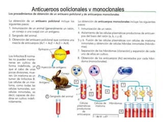 Inmunología 1