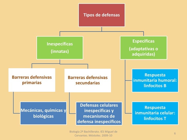 Inmunología 2º bachillerato