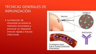 TÉCNICAS GENERALES DE
INMUNIZACIÓN
 La intención de
inmunizar es activar la
memoria inmunitaria y
provocar un respuesta
inmune rápida a futuras
infecciones
 