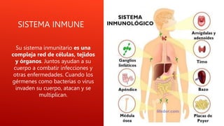 SISTEMA INMUNE
Su sistema inmunitario es una
compleja red de células, tejidos
y órganos. Juntos ayudan a su
cuerpo a combatir infecciones y
otras enfermedades. Cuando los
gérmenes como bacterias o virus
invaden su cuerpo, atacan y se
multiplican.
 