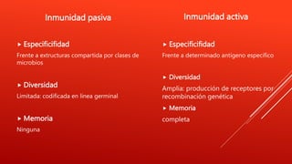  Especificifidad
Frente a extructuras compartida por clases de
microbios
 Diversidad
Limitada: codificada en línea germinal
 Memoria
Ninguna
 Especificifidad
Frente a determinado antígeno especifico
 Diversidad
Amplia: producción de receptores por
recombinación genética
 Memoria
completa
Inmunidad pasiva Inmunidad activa
 