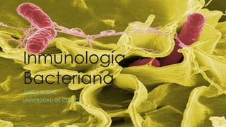 Inmunología
Bacteriana
JORGE RODAS
UNIVERSIDAD DE CUENCA
 