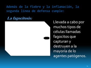 Llevada a cabo por
muchos tipos de
células llamadas
fagocitos que
capturan y
destruyen a la
mayoría de lo
agentes patógenos.
Además de la fiebre y la inflamación, la
segunda línea de defensa cumple:
La fagocitosis:
14
 