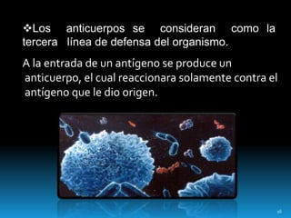 A la entrada de un antígeno se produce un
anticuerpo, el cual reaccionara solamente contra el
antígeno que le dio origen.
Los anticuerpos se consideran como la
tercera línea de defensa del organismo.
16
 