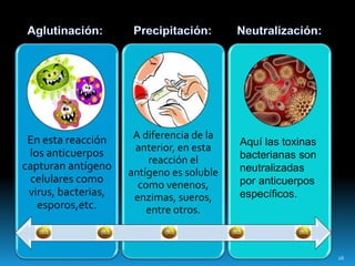 En esta reacción
los anticuerpos
capturan antígeno
celulares como
virus, bacterias,
esporos,etc.
A diferencia de la
anterior, en esta
reacción el
antígeno es soluble
como venenos,
enzimas, sueros,
entre otros.
Aquí las toxinas
bacterianas son
neutralizadas
por anticuerpos
específicos.
26
 