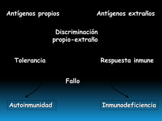 Antígenos propios Antígenos extraños
Discriminación
propio-extraño
Tolerancia Respuesta inmune
Fallo
InmunodeficienciaAutoinmunidad
 
