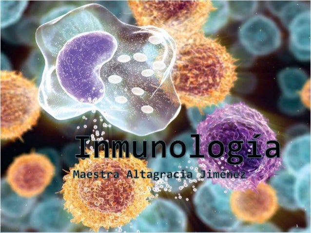 Image result for immunology image