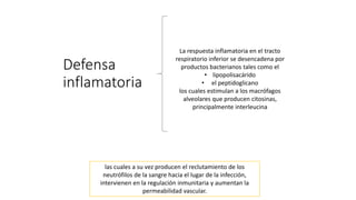 Defensa
inflamatoria
La respuesta inflamatoria en el tracto
respiratorio inferior se desencadena por
productos bacterianos tales como el
• lipopolisacárido
• el peptidoglicano
los cuales estimulan a los macrófagos
alveolares que producen citosinas,
principalmente interleucina
las cuales a su vez producen el reclutamiento de los
neutrófilos de la sangre hacia el lugar de la infección,
intervienen en la regulación inmunitaria y aumentan la
permeabilidad vascular.
 