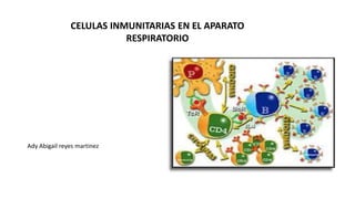 CELULAS INMUNITARIAS EN EL APARATO
RESPIRATORIO
Ady Abigail reyes martinez
 