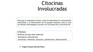 Citocinas
Involucradas
CITOCINAS.
Proteínas de bajo peso molecular
Mensajeros intercelulares
Activación, inhibición, atracción, proliferación, diferenciación
Para que la respuesta se lleve a cabo es importante la comunicación
intercelular y la estimulación de los grupos celulares, para lo cual
las células inmunológicas cuentan con la producción y secreción de.
 Ángel Enrique Alamilla Pérez
 