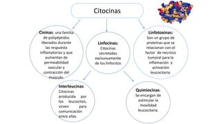 Cininas: una familia
de polipéptidos
liberados durante
las respuesta
inflamatorias y que
aumentan de
permeabilidad
vascular y
contracción del
musculo.
Linfocinas:
Citocinas
secretadas
exclusivamente
de los linfocitos
Citocinas
Linfotoxinas:
Son un grupo de
proteínas que se
relacionan con el
factor de necrosis
tumoral para la
inflamación y
activación
leucocitaria.
Interleucinas:
Citocinas
producida por
los leucocitos,
sirven para
comunicación
entre ellas
Quimiocinas:
Se encargan de
estimular la
movilidad
leucocitaria.
 