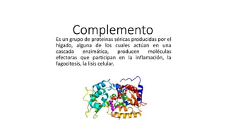 ComplementoEs un grupo de proteínas séricas producidas por el
hígado, alguna de los cuales actúan en una
cascada enzimática, producen moléculas
efectoras que participan en la inflamación, la
fagocitosis, la lisis celular.
 