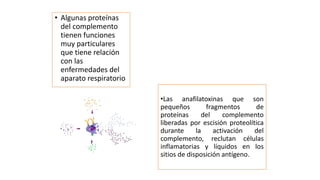 •Las anafilatoxinas que son
pequeños fragmentos de
proteínas del complemento
liberadas por escisión proteolítica
durante la activación del
complemento, reclutan células
inflamatorias y líquidos en los
sitios de disposición antígeno.
• Algunas proteínas
del complemento
tienen funciones
muy particulares
que tiene relación
con las
enfermedades del
aparato respiratorio
 