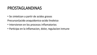 PROSTAGLANDINAS
• Se sintetizan a partir de acidos grasos
Precursor(acido araquidonico-acido linoleico
• Intervienen en los procesos inflamatorios
• Participa en la inflamacion, dolor, regulacion inmune
 