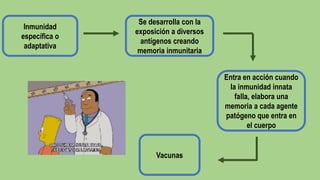 Inmunidad
específica o
adaptativa
Se desarrolla con la
exposición a diversos
antígenos creando
memoria inmunitaria
Vacunas
Entra en acción cuando
la inmunidad innata
falla, elabora una
memoria a cada agente
patógeno que entra en
el cuerpo
 