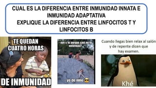 CUAL ES LA DIFERENCIA ENTRE INMUNIDAD INNATA E
INMUNIDAD ADAPTATIVA
EXPLIQUE LA DIFERENCIA ENTRE LINFOCITOS T Y
LINFOCITOS B
 