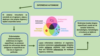 ENFERMEDAD AUTOINMUNE
Lupus eritematoso sistémico: el organismo
produce numerosos autoanticuerpos dirigidos
contra antígenos celulares, cuyo resultado
final son lesiones inflamatorias de múltiples
órganos y sistemas.
El sistema inmunitario se
convierte en el agresor y ataca y
destruye a los propios órganos y
tejidos corporales sanos
Síndromes locales (órgano
específicas): puede ser de
carácter endocrino,
dermatológico, hematológico
e involucra un tejido en
particular.
Enfermedades
autoinmunitarias
sistémicas (no órgano
específicas): se producen
cuando los anticuerpos atacan
antígenos no específicos en
más de un órgano en
particular.
 