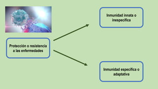 Protección o resistencia
a las enfermedades
Inmunidad específica o
adaptativa
Inmunidad innata o
inespecífica
 