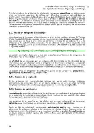 Unidad 18. Sistema inmunitario. Biología 2º bachillerato
CEM Hipatia FUHEM. Profesor. Miguel Ángel Madrid Rangel
14
14
Ante la entrada de los antígenos, las células con receptores específicos son seleccionadas
entre un inmenso repertorio de células con diferentes receptores estimulándose su
proliferación y maduración. Esta activación provoca que el linfocito se divida rápidamente y se
diferencie para producir un clon de células que se dividen en células de memoria y células
plasmáticas. Las células de memoria están circulando continuamente en la sangre y en los
órganos linfoides secundarios, por lo que detectan enseguida una nueva entrada del antígeno.
Los receptores de superficie presentan una mayor avidez por el antígeno y se desencadena
una rápida producción de IgG.
5.2. Reacción antígeno-anticuerpo
Los anticuerpos, al reconocer a los antígenos, se unen a ellos mediante enlaces de Van der
Waals, fuerzas hidrofóbicas o iónicas, en una reacción denominada antígeno-anticuerpo. En
esta unión, que se lleva a cabo entre las porciones variables de las cadenas H y L del
anticuerpo y los determinantes antigénicos, no se establece ningún enlace covalente entre
antígeno y anticuerpo, por lo que la reacción es reversible. Esta reacción se puede expresar de
la siguiente manera:
Ag (antígeno) + Ac (anticuerpo) ↔ AgAc (complejo antígeno-anticuerpo)
La reacción se desplaza hacia uno u otro lado según las concentraciones de antígenos y de
anticuerpos y de la intensidad de su reacción.
La afinidad de un anticuerpo por un antígeno está determinada por la intensidad de las
interacciones que se establecen entre el antígeno y el determinante antigénico. La reacción
antígeno-anticuerpo es extraordinariamente específica: un anticuerpo puede reconocer entre
una multitud de determinantes antigénicos únicamente aquellos que le son complementarios.
La reacción entre los antígenos y los anticuerpos puede ser de varios tipos: precipitación,
aglutinación, neutralización y opsonización.
5.2.1. Reacción de precipitación
Si los antígenos son macromoléculas solubles con varios determinantes (antígenos
polivalentes), los anticuerpos libres en el plasma sanguíneo, se unen con ellos, formando
complejos tridimensionales insolubles produciéndose una reacción de precipitación.
5.2.2. Reacción de aglutinación
La aglutinación se produce al reaccionar los anticuerpos con moléculas de antígenos situados
en la superficie de bacterias u otras células. Como resultado de esta reacción, las células
forman agregados que sedimentan con facilidad.
Los antígenos de la superficie de las células que provocan aglutinación se denominan
aglutinógenos, mientras que sus anticuerpos específicos se llaman aglutininas.
Existe un tipo de aglutinación denominada, aglutinación pasiva, que consiste en la
adherencia de antígenos solubles a la membrana de ciertas células. Posteriormente, los
antígenos se unen a los anticuerpos y al reaccionar con ellos se produce la aglutinación de
las células a las que estaban ligados. Este fenómeno tiene lugar, por ejemplo, en los glóbulos
rojos de la sangre.
 