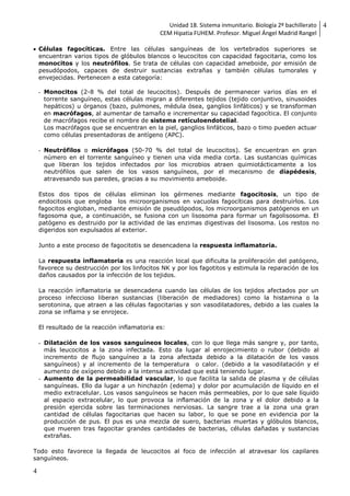 Unidad 18. Sistema inmunitario. Biología 2º bachillerato
CEM Hipatia FUHEM. Profesor. Miguel Ángel Madrid Rangel
4
4
 Células fagocíticas. Entre las células sanguíneas de los vertebrados superiores se
encuentran varios tipos de glóbulos blancos o leucocitos con capacidad fagocitaria, como los
monocitos y los neutrófilos. Se trata de células con capacidad ameboide, por emisión de
pesudópodos, capaces de destruir sustancias extrañas y también células tumorales y
envejecidas. Pertenecen a esta categoría:
- Monocitos (2-8 % del total de leucocitos). Después de permanecer varios días en el
torrente sanguíneo, estas células migran a diferentes tejidos (tejido conjuntivo, sinusoides
hepáticos) u órganos (bazo, pulmones, médula ósea, ganglios linfáticos) y se transforman
en macrófagos, al aumentar de tamaño e incrementar su capacidad fagocítica. El conjunto
de macrófagos recibe el nombre de sistema retículoendotelial.
Los macrófagos que se encuentran en la piel, ganglios linfáticos, bazo o timo pueden actuar
como células presentadoras de antígeno (APC).
- Neutrófilos o micrófagos (50-70 % del total de leucocitos). Se encuentran en gran
número en el torrente sanguíneo y tienen una vida media corta. Las sustancias químicas
que liberan los tejidos infectados por los microbios atraen quimiotácticamente a los
neutrófilos que salen de los vasos sanguíneos, por el mecanismo de diapédesis,
atravesando sus paredes, gracias a su movimiento ameboide.
Estos dos tipos de células eliminan los gérmenes mediante fagocitosis, un tipo de
endocitosis que engloba los microorganismos en vacuolas fagocíticas para destruirlos. Los
fagocitos engloban, mediante emisión de pseudópodos, los microorganismos patógenos en un
fagosoma que, a continuación, se fusiona con un lisosoma para formar un fagolisosoma. El
patógeno es destruido por la actividad de las enzimas digestivas del lisosoma. Los restos no
digeridos son expulsados al exterior.
Junto a este proceso de fagocitotis se desencadena la respuesta inflamatoria.
La respuesta inflamatoria es una reacción local que dificulta la proliferación del patógeno,
favorece su destrucción por los linfocitos NK y por los fagotitos y estimula la reparación de los
daños causados por la infección de los tejidos.
La reacción inflamatoria se desencadena cuando las células de los tejidos afectados por un
proceso infeccioso liberan sustancias (liberación de mediadores) como la histamina o la
serotonina, que atraen a las células fagocitarias y son vasodilatadores, debido a las cuales la
zona se inflama y se enrojece.
El resultado de la reacción inflamatoria es:
- Dilatación de los vasos sanguíneos locales, con lo que llega más sangre y, por tanto,
más leucocitos a la zona infectada. Esto da lugar al enrojecimiento o rubor (debido al
incremento de flujo sanguíneo a la zona afectada debido a la dilatación de los vasos
sanguíneos) y al incremento de la temperatura o calor. (debido a la vasodilatación y el
aumento de oxígeno debido a la intensa actividad que está teniendo lugar.
- Aumento de la permeabilidad vascular, lo que facilita la salida de plasma y de células
sanguíneas. Ello da lugar a un hinchazón (edema) y dolor por acumulación de líquido en el
medio extracelular. Los vasos sanguíneos se hacen más permeables, por lo que sale líquido
al espacio extracelular, lo que provoca la inflamación de la zona y el dolor debido a la
presión ejercida sobre las terminaciones nerviosas. La sangre trae a la zona una gran
cantidad de células fagocitarias que hacen su labor, lo que se pone en evidencia por la
producción de pus. El pus es una mezcla de suero, bacterias muertas y glóbulos blancos,
que mueren tras fagocitar grandes cantidades de bacterias, células dañadas y sustancias
extrañas.
Todo esto favorece la llegada de leucocitos al foco de infección al atravesar los capilares
sanguíneos.
 